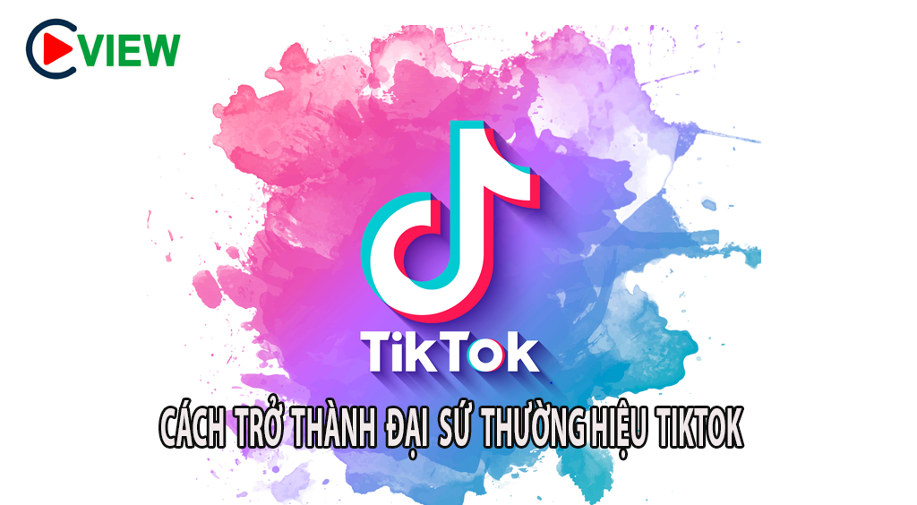 Cách liên hệ với đại sứ thương hiệu trên TikTok
